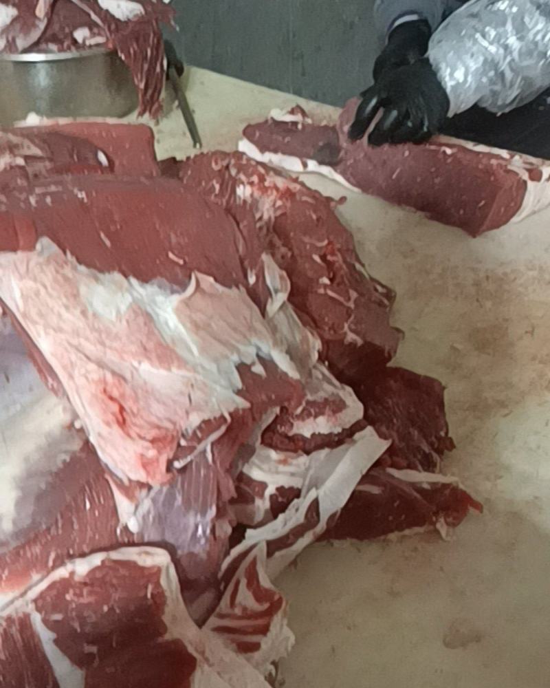 国产纯干牛肉正在加工厂