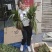 仙茅苗仙茅种植基地一手货源品质保证