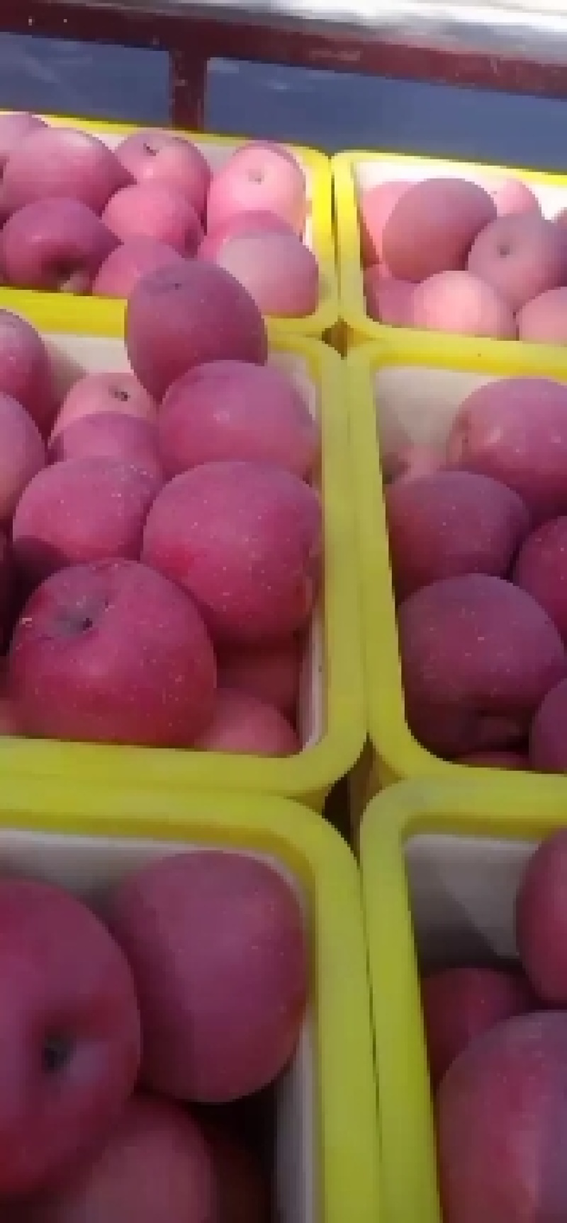 富士大量现货