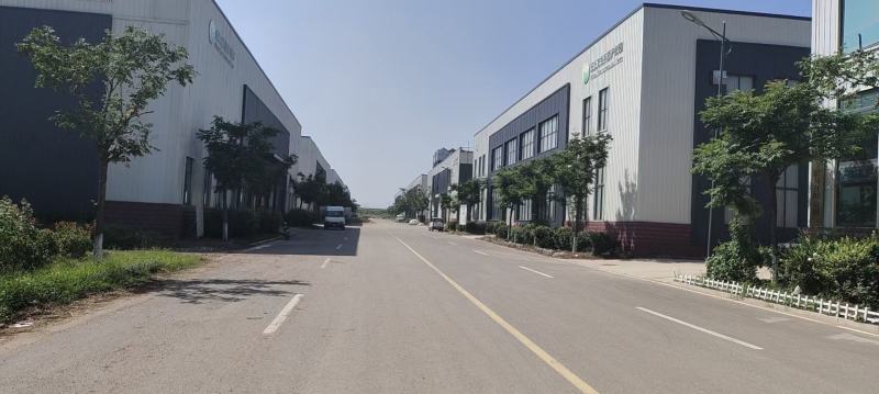 山东大黄姜一手货源常年供应货源充足价格便宜质量可靠