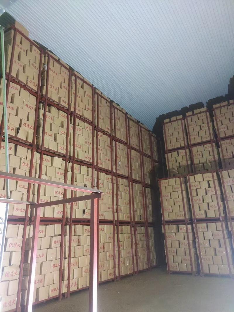 山东大黄姜一手货源常年供应货源充足价格便宜质量可靠