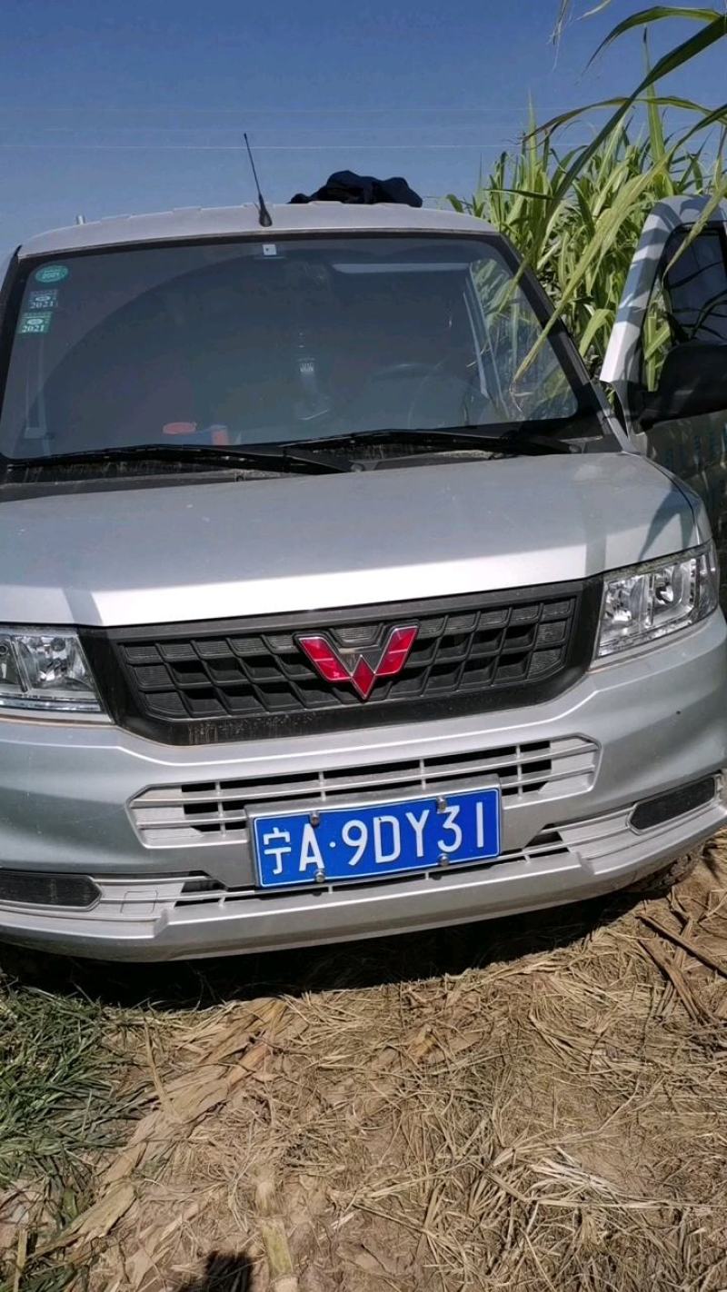 黑皮甘蔗，代收代发全国各地欢迎实地采购。