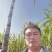 黑皮甘蔗，代收代发全国各地欢迎实地采购。