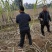 基地直发，精品黑皮甘蔗，口感好无渣，质量保障（种植大户）