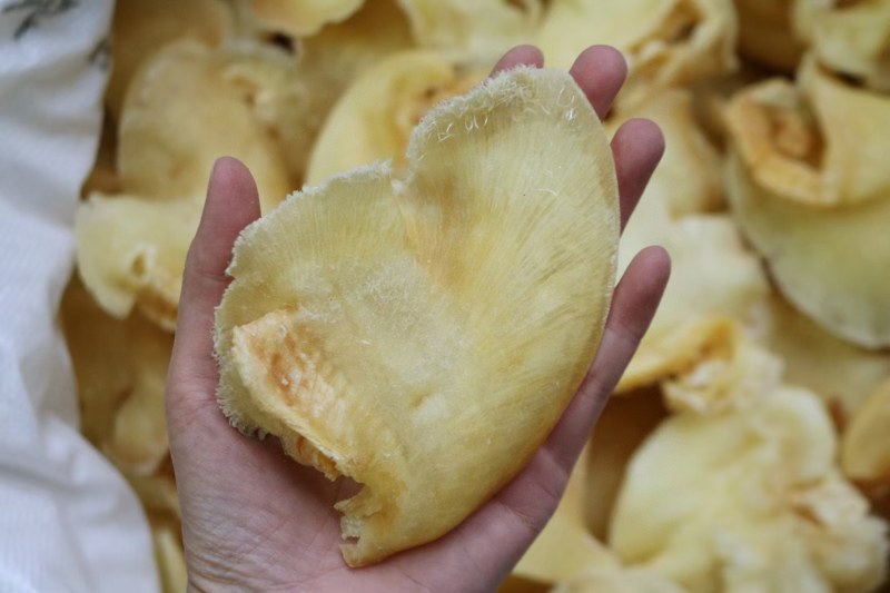 C厂12头金钩鲍翅鱼翅厚肉胶质多翅针多性价比高原料勿骨必