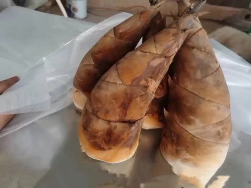 甜竹笋，甜笋甜竹笋的吃法在云南非常的多样，可以凉拌、可
