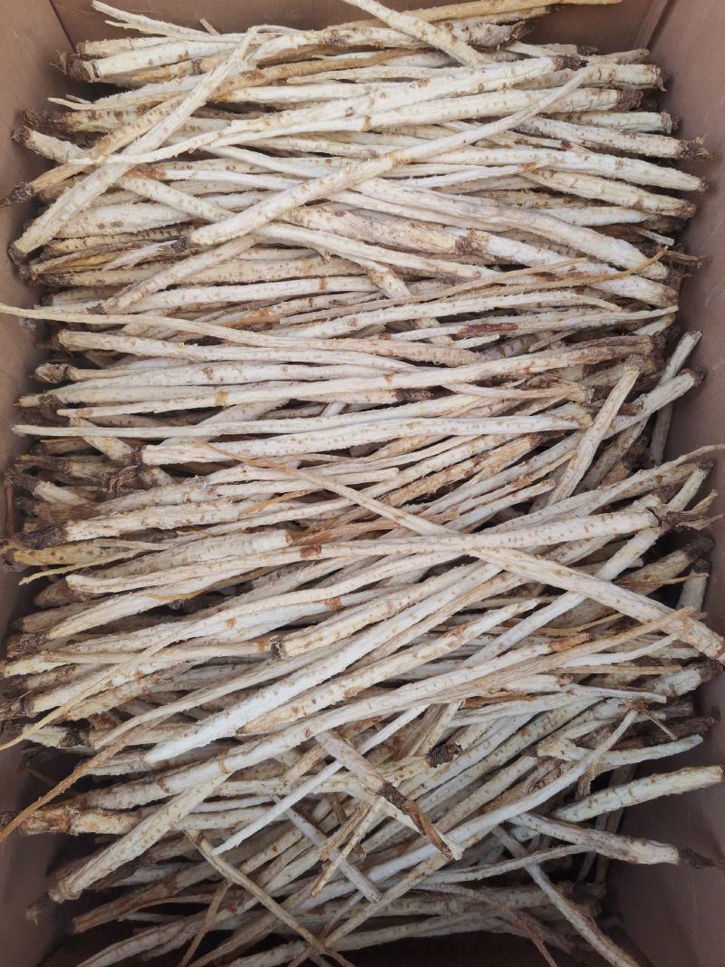 优质内蒙北沙参箱装袋装规格齐全无硫货干量大从优