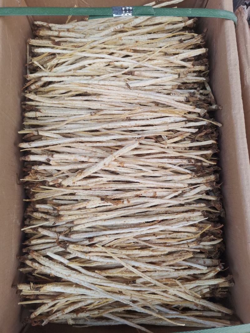 优质内蒙北沙参箱装袋装规格齐全无硫货干量大从优