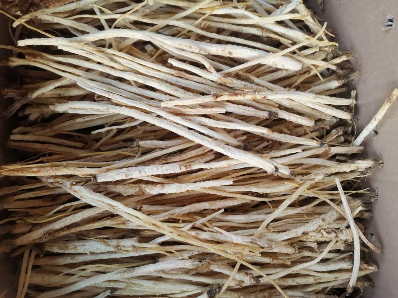 优质内蒙北沙参箱装袋装规格齐全无硫货干量大从优