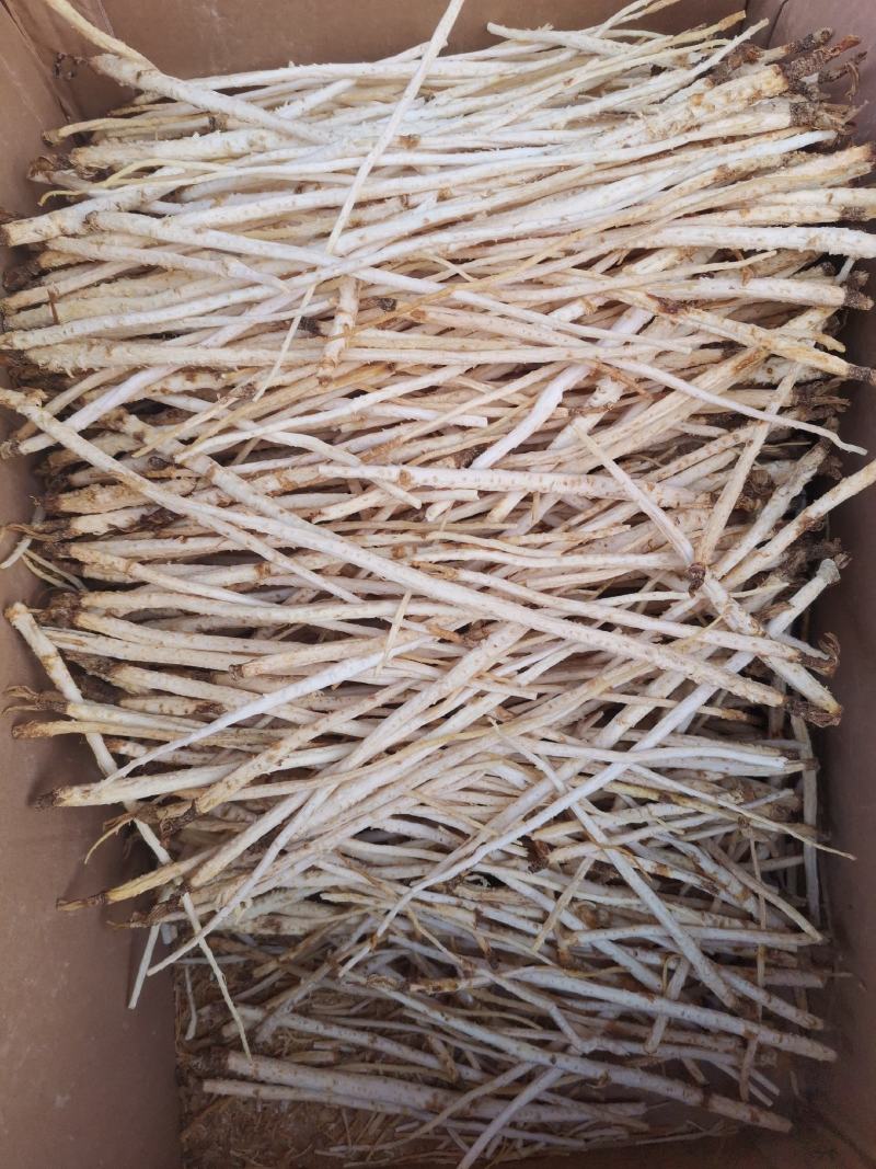优质内蒙北沙参箱装袋装规格齐全无硫货干量大从优