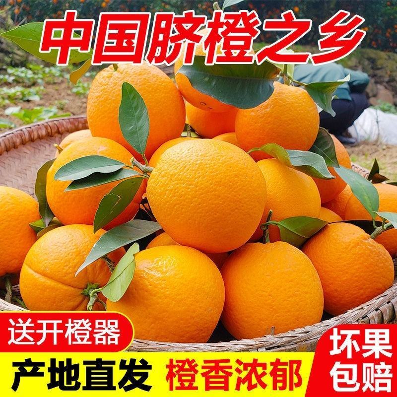 橙子脐橙赣南脐橙皮薄肉厚入口化渣脆嫩多汁