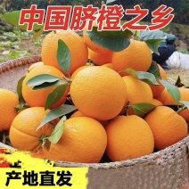 橙子脐橙赣南脐橙皮薄肉厚入口化渣脆嫩多汁