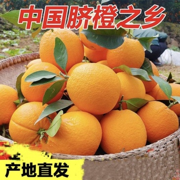 橙子脐橙赣南脐橙皮薄肉厚入口化渣脆嫩多汁