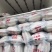 【精品推荐】精品白萝卜沙洋优美白萝卜产地直发量大价低货足