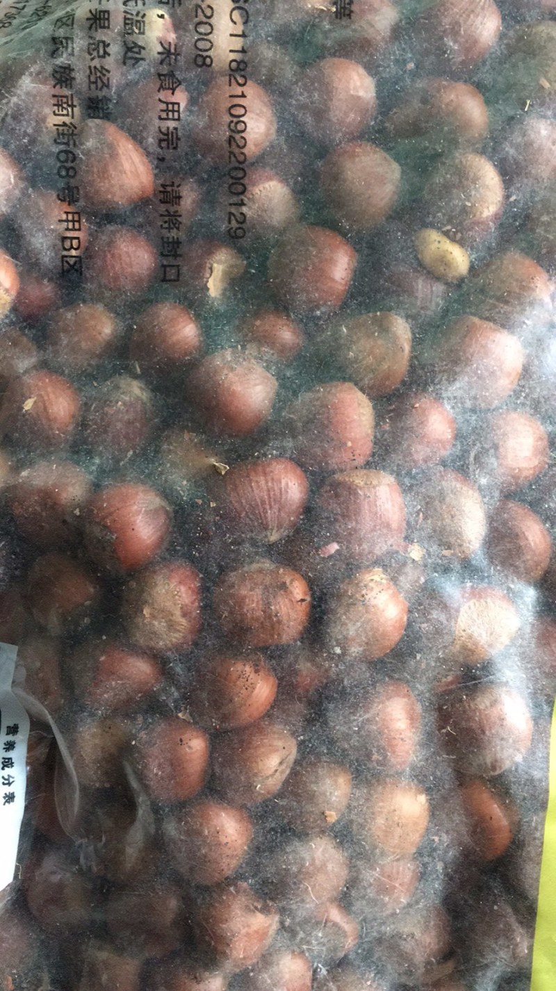 出售各种品种美国大榛子