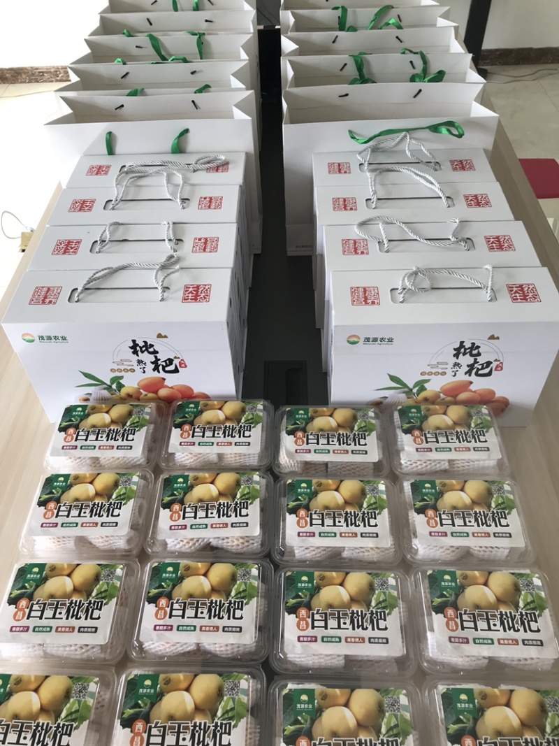 12月摘果-白玉枇杷，白肉枇杷、五星枇杷-西昌枇杷基地