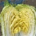 【实力】精品黄心大白菜，承接代销代购，各种蔬菜大量供应中