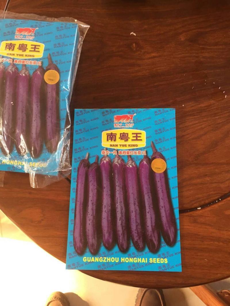 线茄苗中早熟品种亩产高坐果密商品性好线茄苗批发