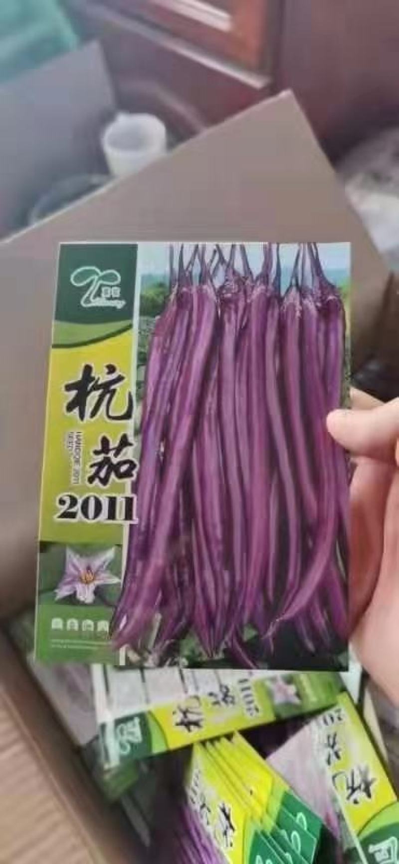 线茄苗中早熟品种亩产高坐果密商品性好线茄苗批发