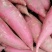 主营西瓜红红薯！基地发货！量大从优！！！蜜薯！龙九