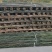 旗杆小种菜竹竿插地专用细条架黄瓜豆角室内外竹子隔断挡墙爬