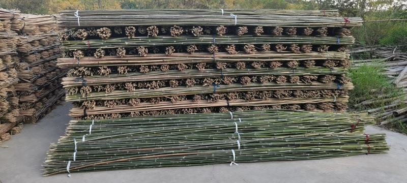 旗杆小种菜竹竿插地专用细条架黄瓜豆角室内外竹子隔断挡墙爬