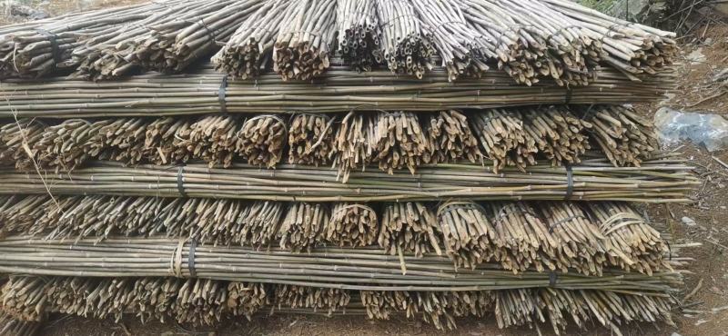 旗杆小种菜竹竿插地专用细条架黄瓜豆角室内外竹子隔断挡墙爬