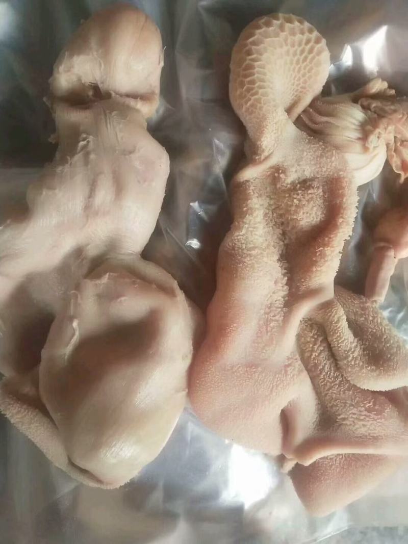 五香全熟羊杂全套羊杂羊肚，羊头，心肝肺