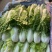 精品，黄心，大白菜，可以视频看看，质量不错
