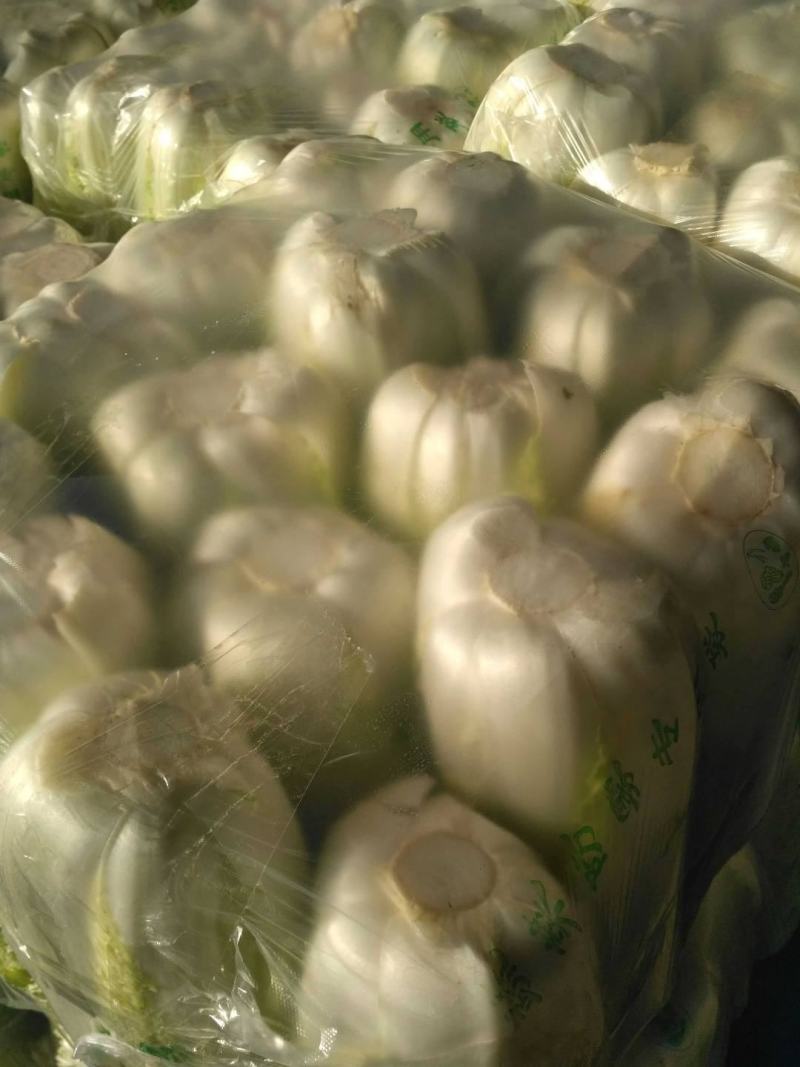 精品，黄心，大白菜，可以视频看看，质量不错
