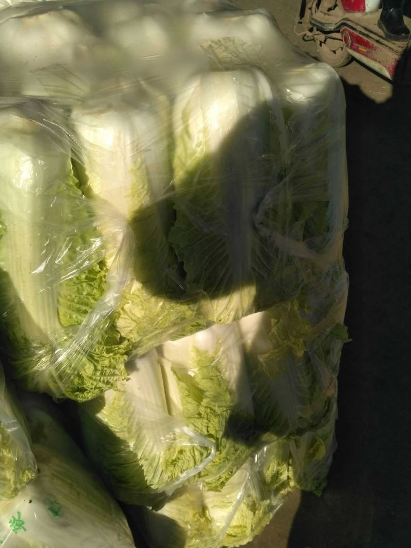 精品，黄心，大白菜，可以视频看看，质量不错