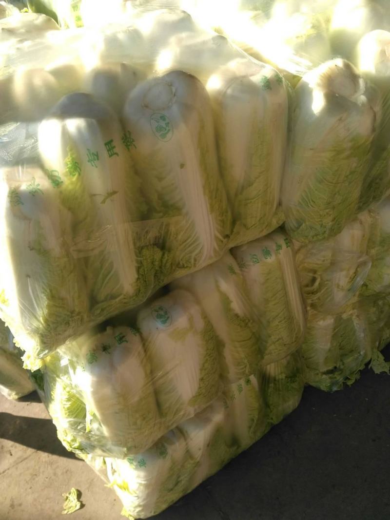 精品，黄心，大白菜，可以视频看看，质量不错