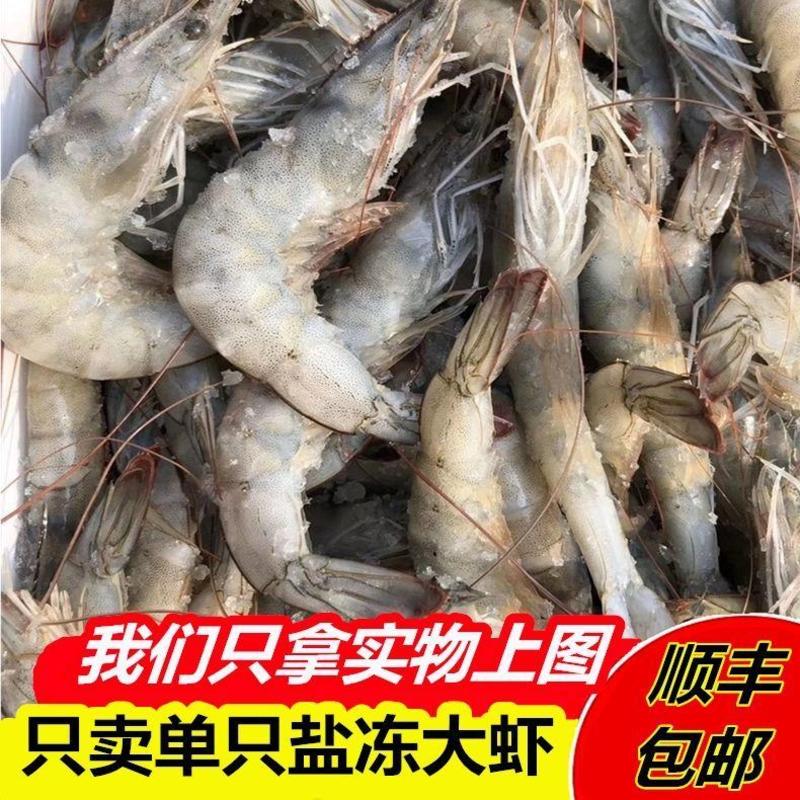 盐冻大虾鲜活对虾新鲜海虾海捕大虾只只分离无冰坨基围虾。