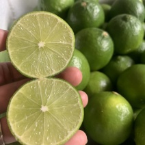 无籽青柠檬塔希提泰国青柠檬越南香水柠檬皮薄汁多台湾品种