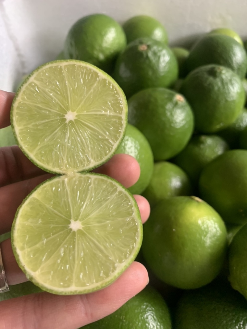 无籽青柠檬塔希提泰国青柠檬越南香水柠檬皮薄汁多台湾品种