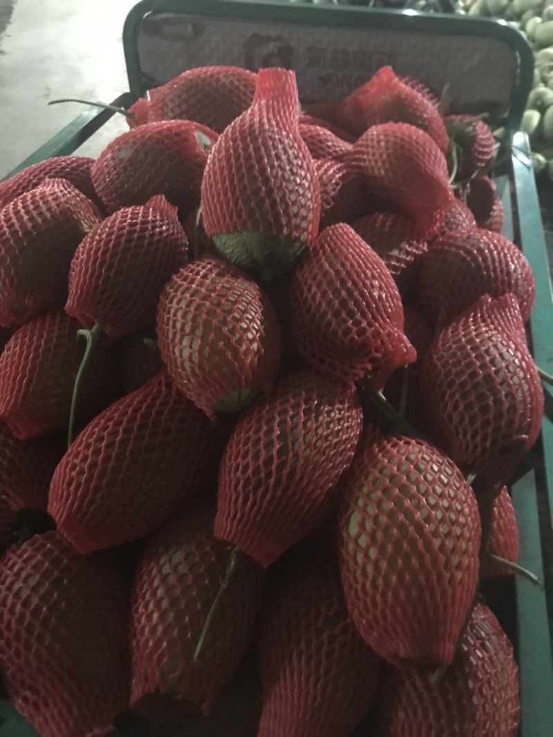西州蜜25电商货精品上市