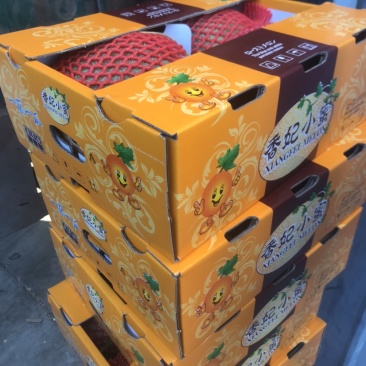 西州蜜25电商货精品上市