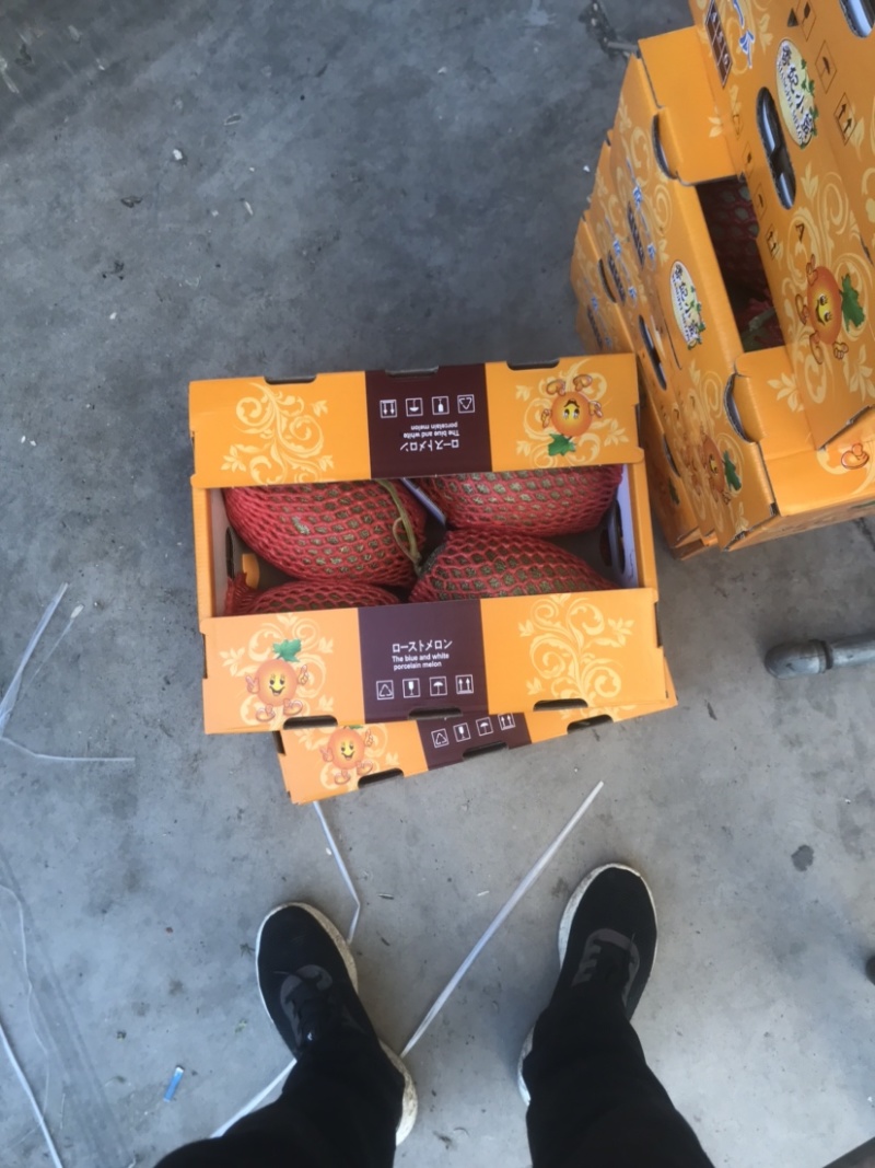 西州蜜25电商货精品上市