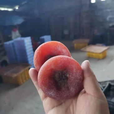 桂林柿饼，大饼中大饼大量，圆饼，吊饼大量盒装礼品盒柿饼
