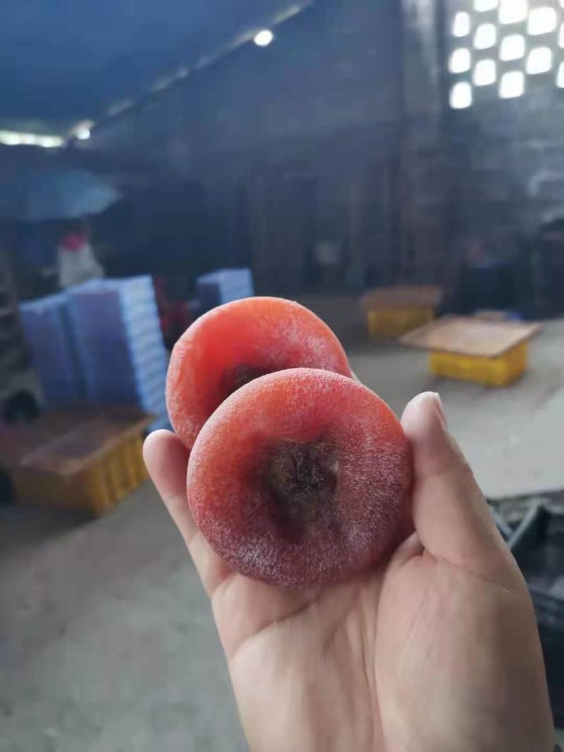 桂林柿饼，大饼中大饼大量，圆饼，吊饼大量盒装礼品盒柿饼