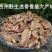 透骨香贵州野生中药材透骨香中草药透骨草满山香搜山虎浓香