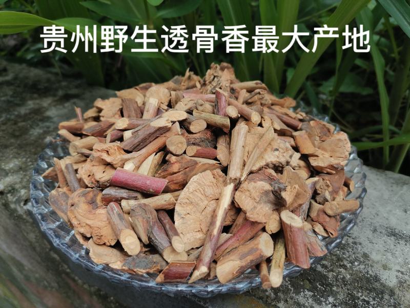 透骨香贵州野生中药材透骨香中草药透骨草满山香搜山虎浓香