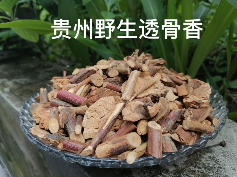 透骨香贵州野生中药材透骨香中草药透骨草满山香搜山虎浓香