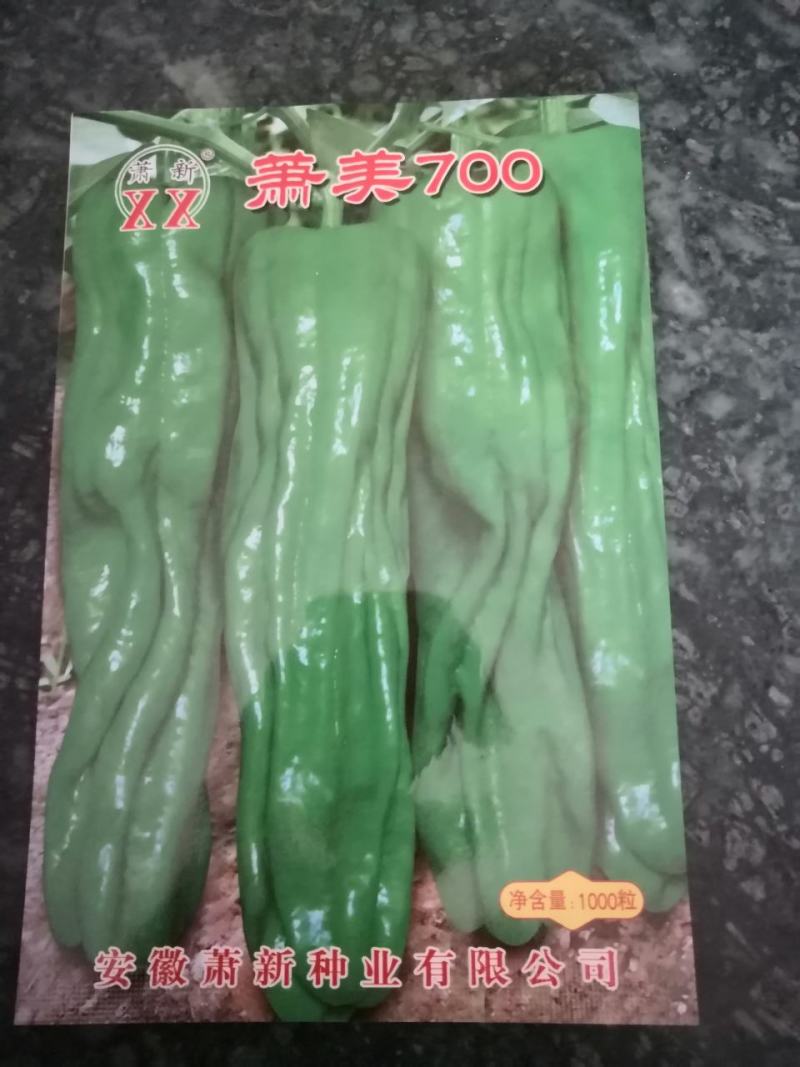 温室大棚早春秋延后大果型专用潇美700辣椒种