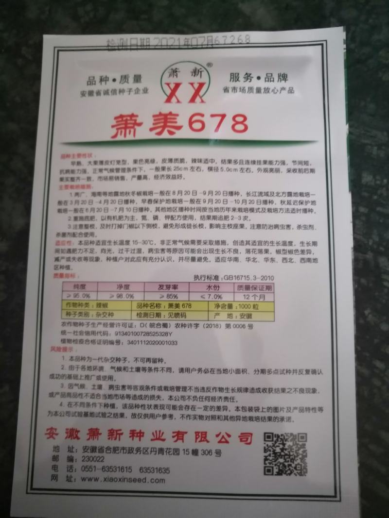 冬暖式温室大棚早春弓棚秋延迟新品种潇美678专用辣椒种