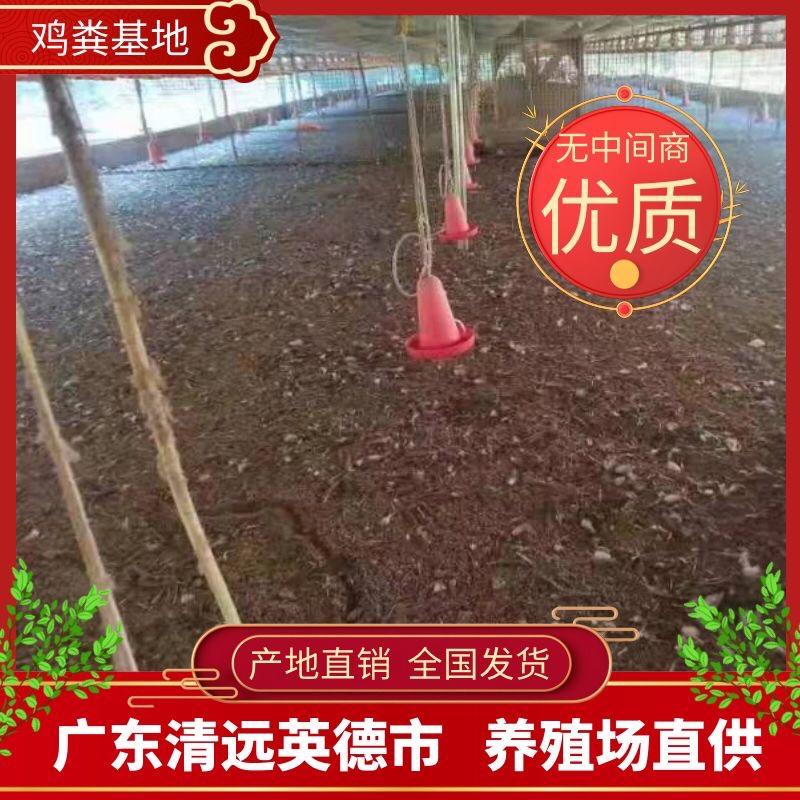 【大量】广东鸡粪禽畜粪便无杂质高效有机肥供货稳定欢迎看货