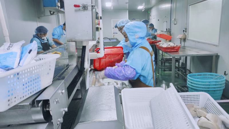 鲈鱼柳，免浆鱼片，厂家直销没有中间商赚差价