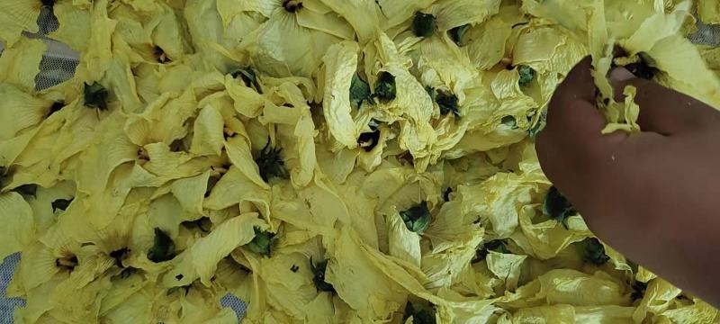 2022新货黄蜀葵花干净无杂颜色黄保证质量自产自销