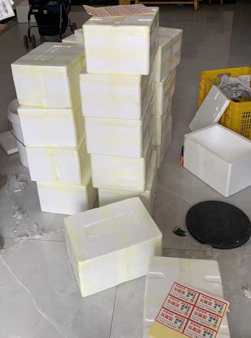 广西脐橙果地现摘现发