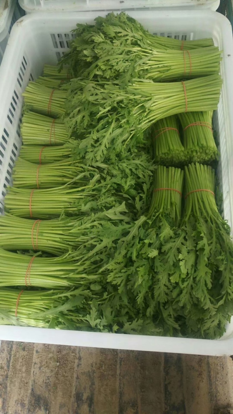 精品茼蒿上市，产地直供，量大从优，欢迎前来选购！